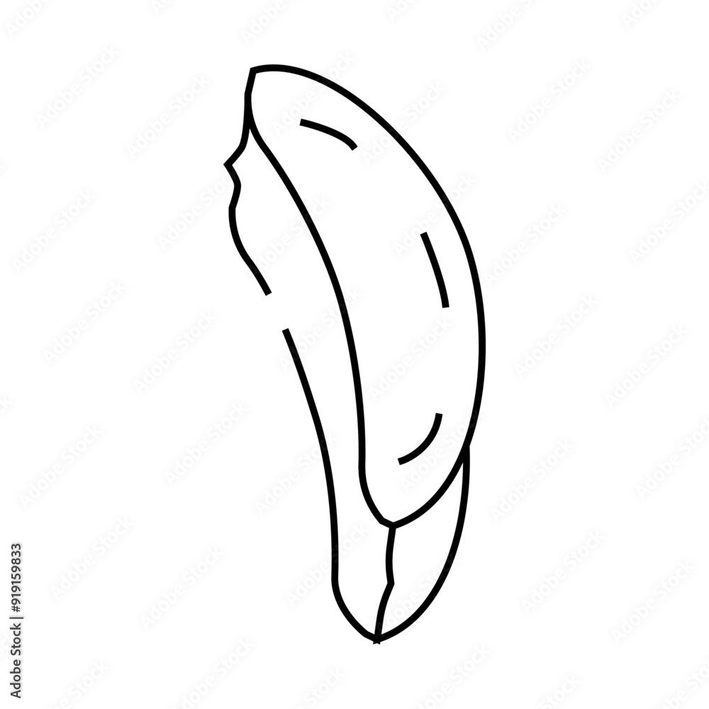 slice aloe vera line icon vector. slice aloe vera sign. isolated contour symbol black illustration slice aloe vera line icon vector. slice aloe vera sign. isolated contour symbol black illustration