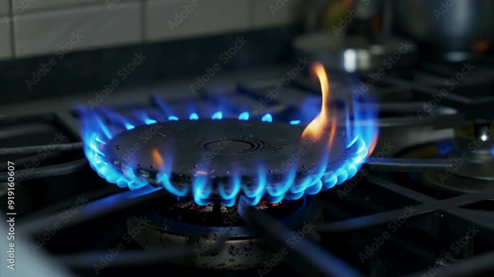 gas burning on the stove gas burning on the stove