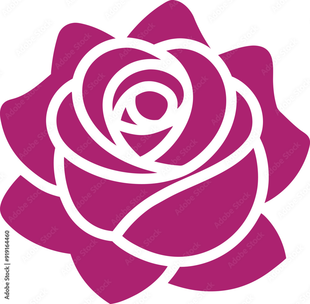 pink rose illustration pink rose illustration