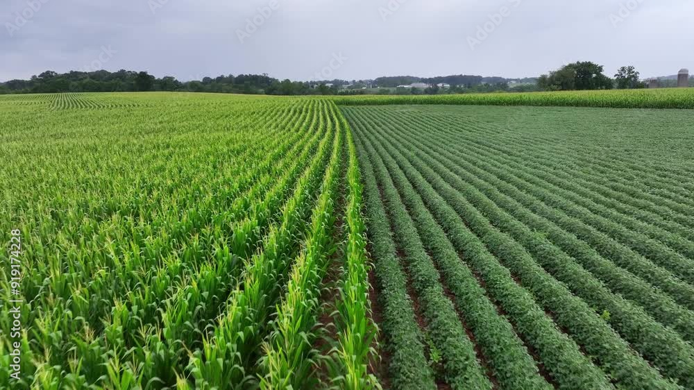 Farm fields with cultivation in rural area of american town. Aerial drone flyover. Rainy dark day in USA. Rural Countryside shot. Farm fields with cultivation in rural area of american town. Aerial drone flyover. Rainy dark day in USA. Rural Countryside shot.
