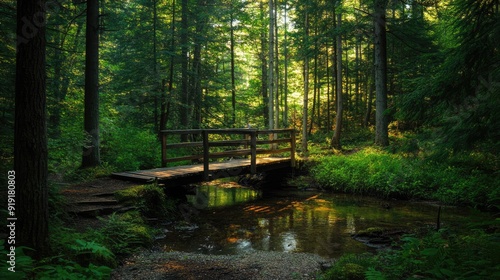 Wallpaper Mural Green pine forest with a wooden bridge crossing a small stream Torontodigital.ca