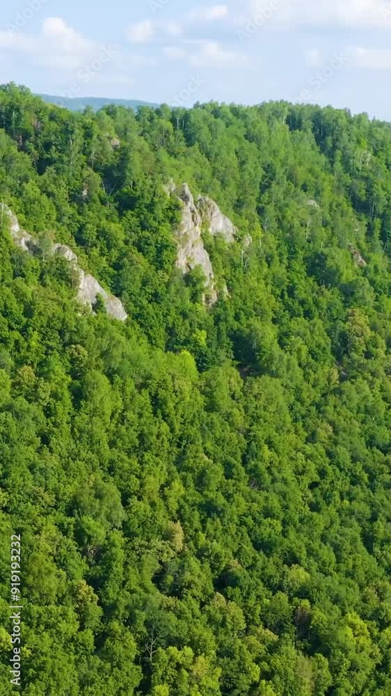 Aerial view of rural area during summer Aerial view of rural area during summer
