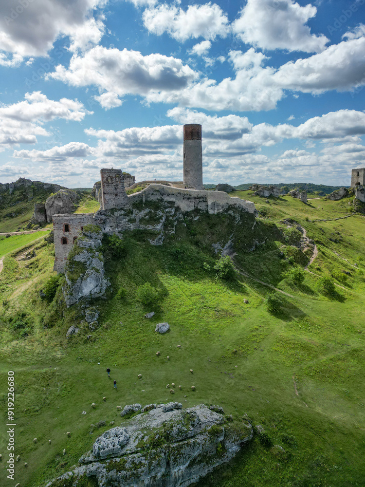 Gothic castle Olsztyn in the Kraków-Częstochowa Upland - a limestone castle Gothic castle Olsztyn in the Kraków-Częstochowa Upland - a limestone castle