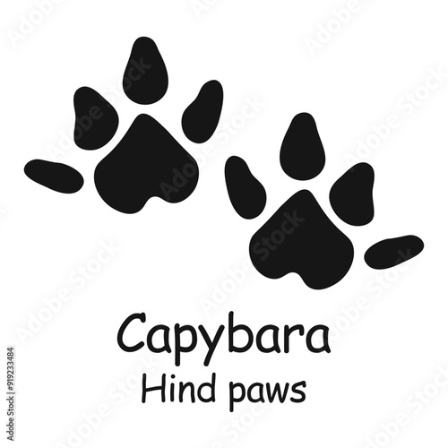Capybara hind paws. Capybara paw print. Vector illustration.