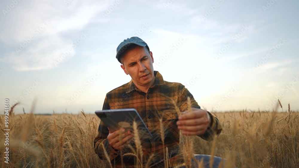 Agriculture. Farmer working with a tablet on wheat. Farm agriculture field concept. A male farmer is studying the wheat. lifestyle Male farmer working on a tablet while studying wheat. Agriculture. Farmer working with a tablet on wheat. Farm agriculture field concept. A male farmer is studying the wheat. lifestyle Male farmer working on a tablet while studying wheat.