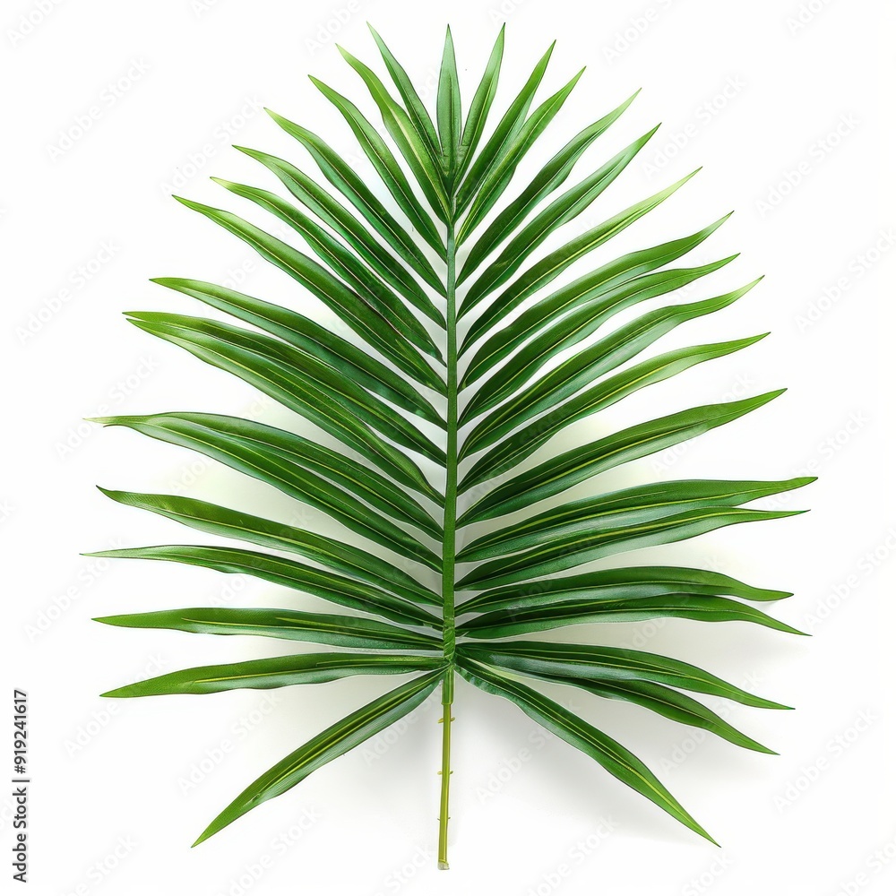 Serene Palm Leaf Field on White Background Serene Palm Leaf Field on White Background