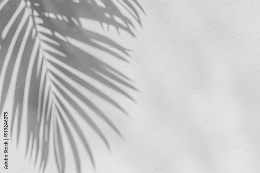 Obraz premium PNG Palm leaf shadow on wall