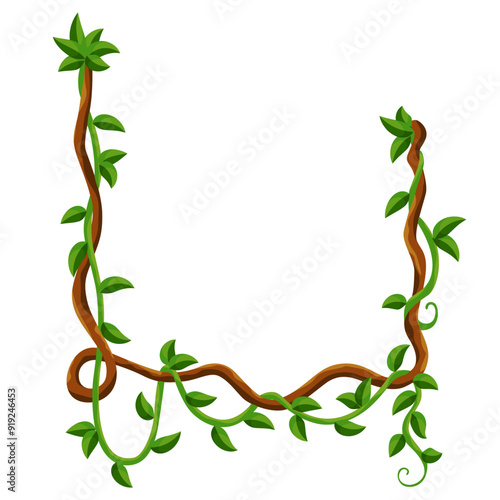 Liana jungle frame. Rainforest liana wild greenery. Cartoon plant, creeper branch. Grass and wood leaf sign. Botany texture. Vector forest game element