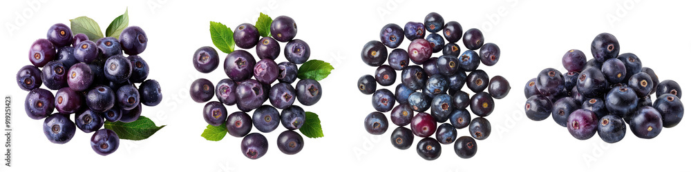 Fresh Saskatoon berries isolated on a transparent background - Showcasing their deep purple color and small, round shape with a clean and detailed presentation Fresh Saskatoon berries isolated on a transparent background - Showcasing their deep purple color and small, round shape with a clean and detailed presentation