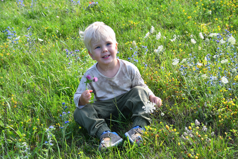 Outdoor portrait of little boy seating on wilde meadow Outdoor portrait of little boy seating on wilde meadow