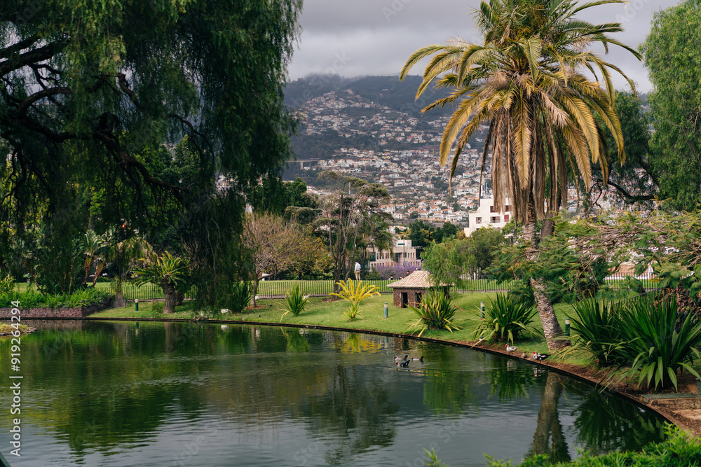 Funchal, Madeira - June 25, 2023: Santa Catarina tropical city park gardens of Funchal, Madeira island, Portugal Funchal, Madeira - June 25, 2023: Santa Catarina tropical city park gardens of Funchal, Madeira island, Portugal