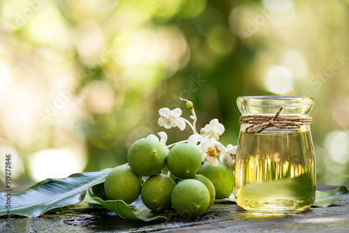 Alexandrian laurel or Calophyllum inophyllum flowers and tamanu oil on natural background. photo