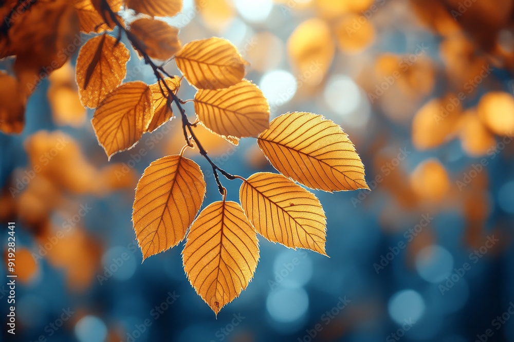 Fototapeta premium A serene image of the Autumn Sovereign gently touching the branches of trees, turning the leaves from green to gold with a single touch,