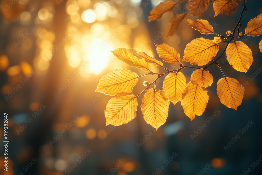 A serene image of the Autumn Sovereign gently touching the branches of trees, turning the leaves from green to gold with a single touch, A serene image of the Autumn Sovereign gently touching the branches of trees, turning the leaves from green to gold with a single touch,