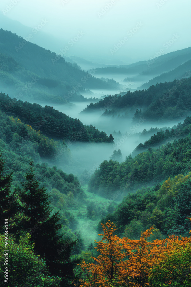 A dense fog rolling through a valley, with the whispers of the wild blending with the soft sounds of nature, A dense fog rolling through a valley, with the whispers of the wild blending with the soft sounds of nature,
