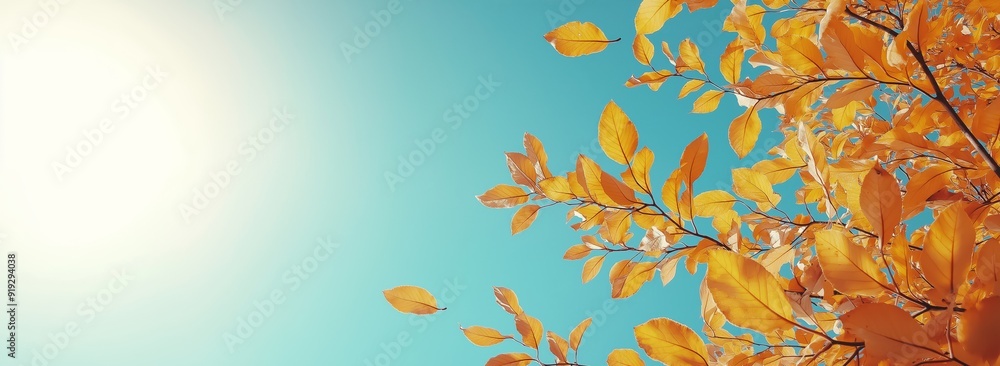 Bright Autumn Day with Golden Leaves Falling Against a Clear Blue Sky Bright Autumn Day with Golden Leaves Falling Against a Clear Blue Sky