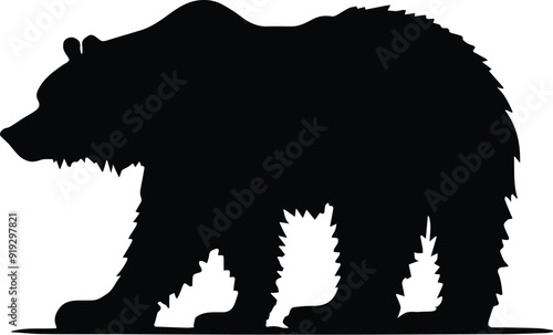 wild bear silhouette - animial designs photo