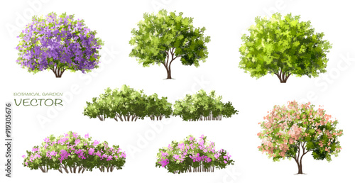  Vector watercolor blooming flower tree or forest side view isolated on white background for landscape and architecture drawing,elements for environment or and garden,green tree for garden section 