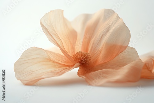 Close-up of a delicate peach-colored flower on white fabric.