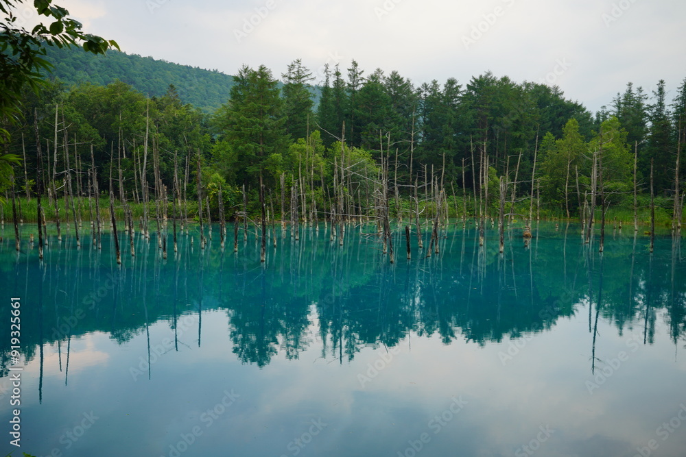 北海道青い池