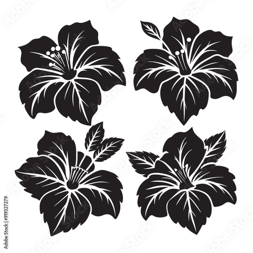 Vector set of black silhouettes of tropical hibiscus flowers isolated on a white background