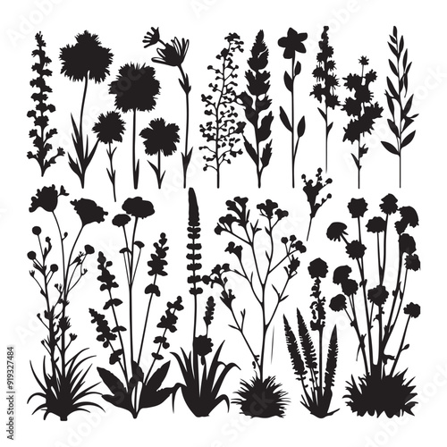 Plants silhouette vector images