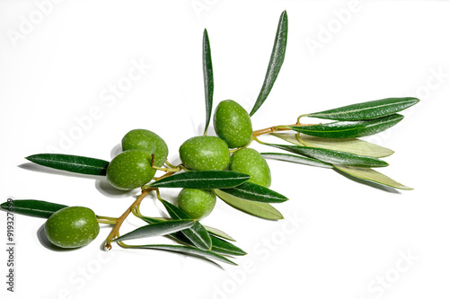 Wallpaper Mural An olive branch featuring lush leaves, ripe fruit, and set against a white background with copy space image. Torontodigital.ca