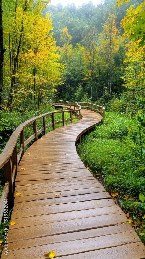 Obraz premium Winding Wooden Pathway Through Fall Foliage
