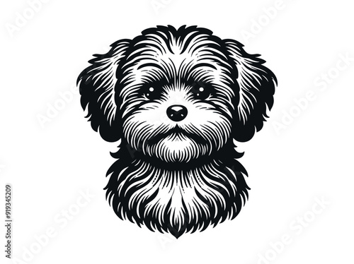 Maltipoo is a cute dog. Vintage vector black and white illustration sketch. Retro logo, emblem, cut out, print, tattoo