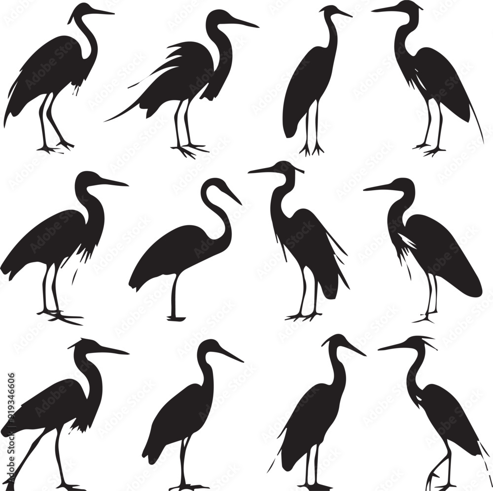 Fototapeta premium Stork Shadowy Silhouette Vector Art Pack