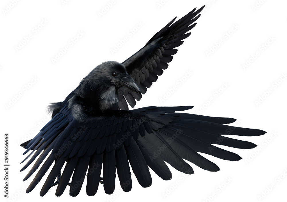 Fototapeta premium 3D Rendering Black Crow on White