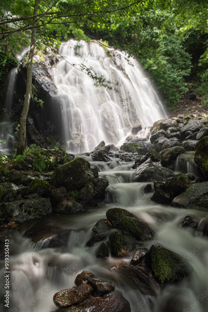 Obraz premium Amicalola Falls in the North Georgia mountains in spring. Georgia waterfalls. Waterfalls in the Svaneti region. Waterfall photos taken with long exposure.