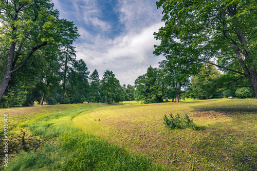 A lush green field with trees in the background