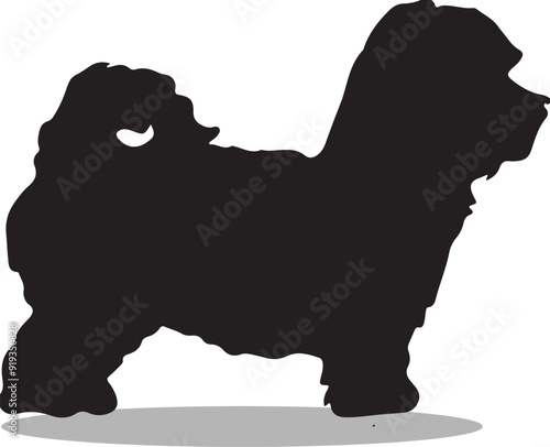 Malteses Silhouette, Malteses Vector Silhouette, Malteses cartoon Silhouette, Malteses illustration, Malteses icon Silhouette, Malteses Silhouette illustration