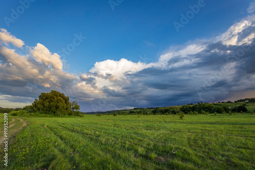 A single tree stands out in a vast field of green grass, with a dramatic sky above, featuring fluffy white clouds and looming dark storm clouds.