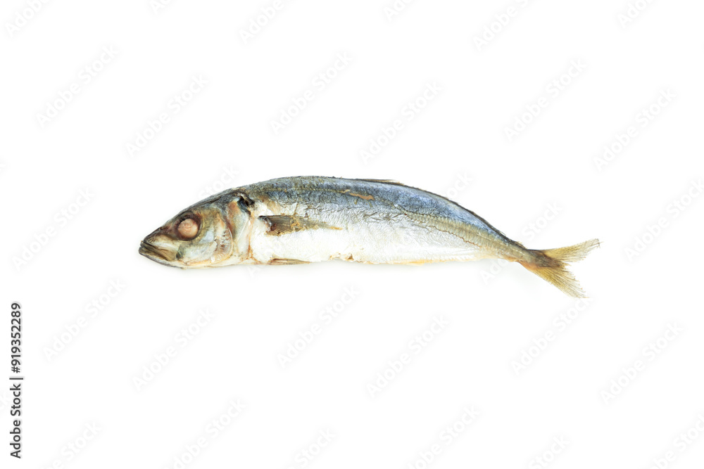 Mackerel fish isolated on white background, Seafood, Steamed fish Mackerel fish isolated on white background, Seafood, Steamed fish