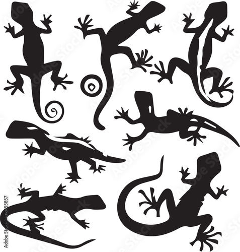 Lizard   Outline Silhouette Graphics Collection