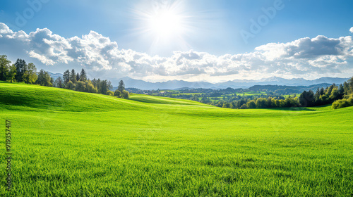 A large, open field with a bright sun shining down on it