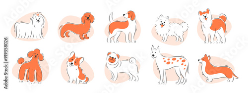 Different breeds of dogs. Pets set. Vector illustration.