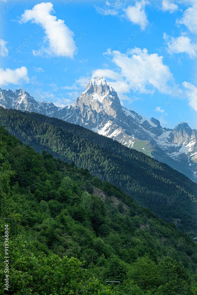 Obraz premium Georgia trekking routes. Magnificent Georgian mountains. Snowy and green mountains of Georgia. Svaneti mountains. Mountain landscapes in bloom in spring.
