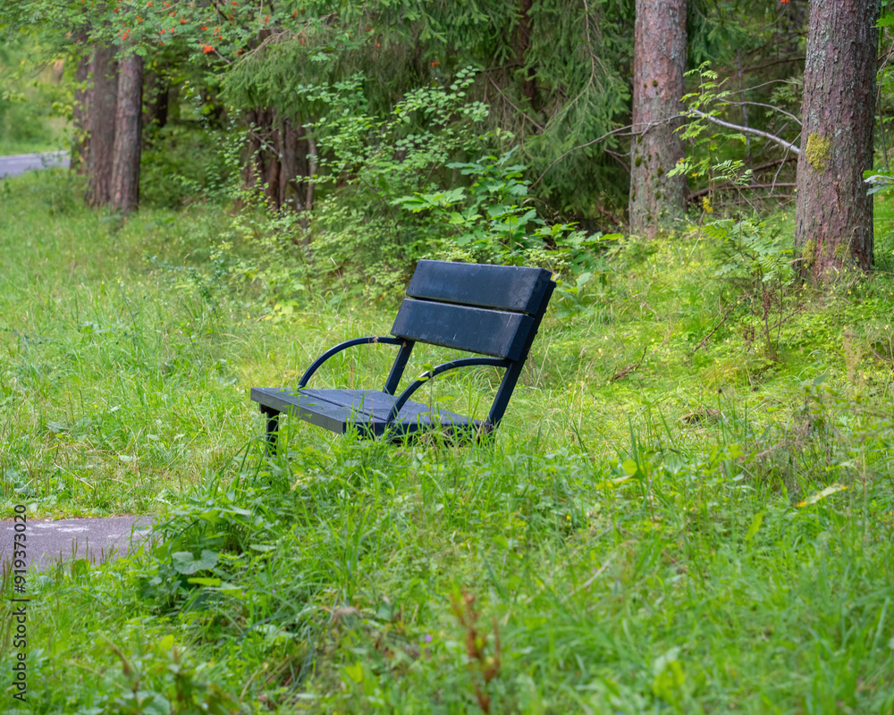 black lonely bench against a green forest background black lonely bench against a green forest background