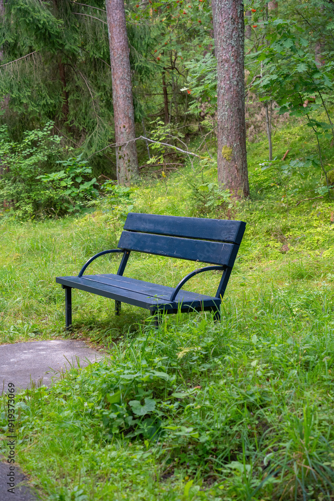 black lonely bench against a green forest background black lonely bench against a green forest background