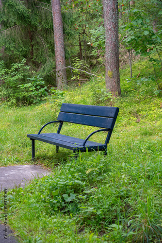 black lonely bench against a green forest background