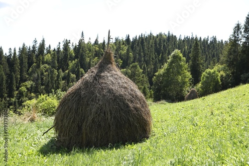 Pile of hay on green grass on sunny day