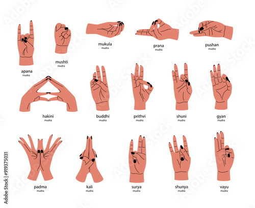 Big nice collection of different mudras