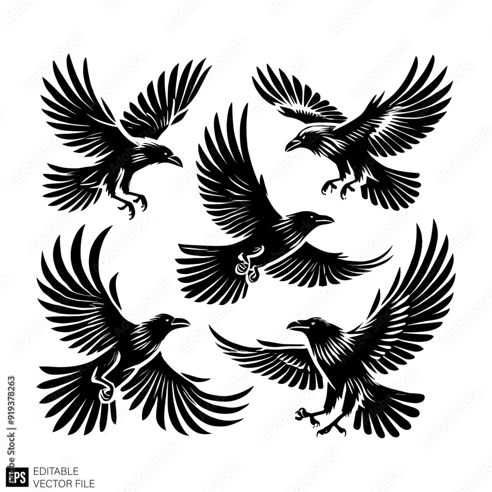 Obraz premium set of raven vector graphic design black and white clip art silhouette