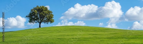 In a clear blue sky, a single tree stands alone in a green field