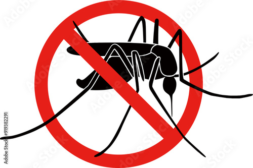 mosquito
