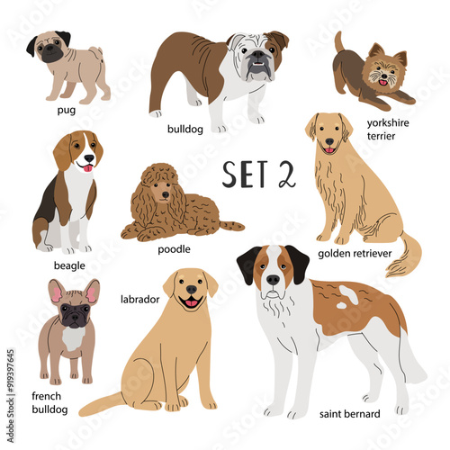 Set of different dogs of various breeds