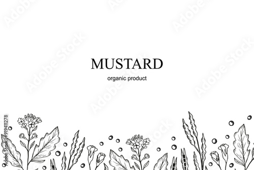 Mustard plant engraved banner, hand drawn vector illustration. Background with mustard flower, branch, seed, leaf. Food ingredient. The images created without use  any artificial intelligence software